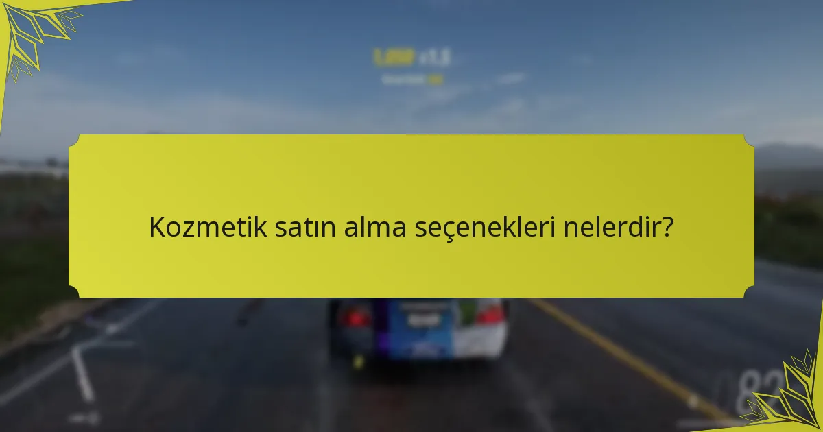 Kozmetik satın alma seçenekleri nelerdir?